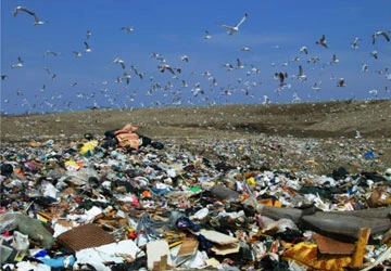 Tái chế giấy để bảo vệ môi trường ảnh 1