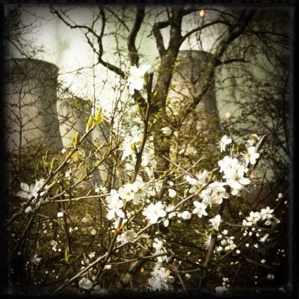 Những bức ảnh chuyển mùa đẹp ấn tượng chụp bằng iPhone ảnh 5