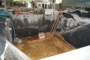 Nấm kim châm bị "tẩm độc" ở Trung Quốc ảnh 1