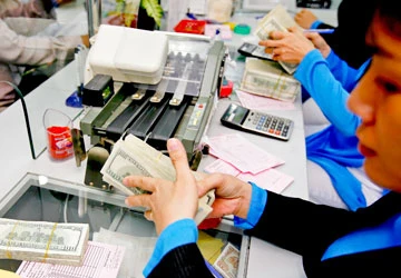 Bán ngoại tệ thay vì cho vay ? ảnh 1