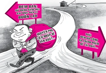 Buôn lậu hay trốn thuế? ảnh 1 Buôn lậu hay trốn thuế? ảnh 1