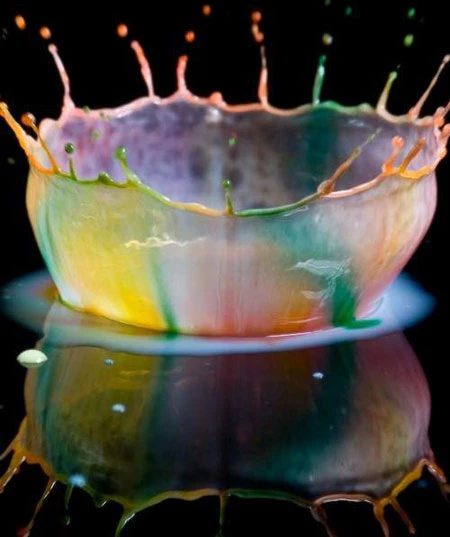 Những hình ảnh quay chậm đẹp và hài hước ảnh 14 Những hình ảnh quay chậm đẹp và hài hước ảnh 14