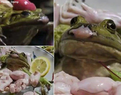 Kinh hãi món ếch sống lột da, ngồi chồm hỗm ảnh 1