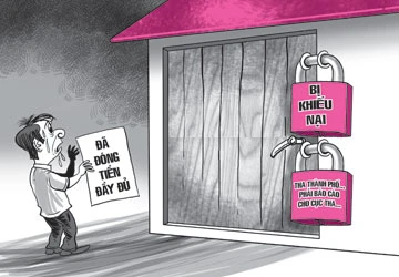 Dài cổ chờ giao nhà trúng đấu giá ảnh 1