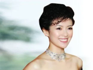 Chương Tử Di trong kỳ án Bạc Hy Lai ảnh 1