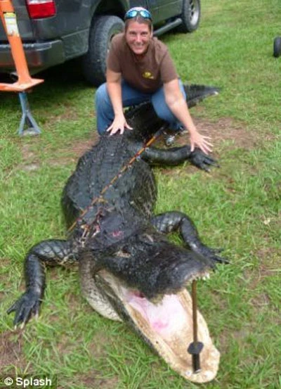 Chàng sinh viên câu được cá sấu khổng lồ ảnh 4