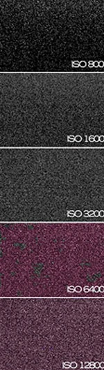 Tìm hiểu ISO kỹ thuật số ảnh 3