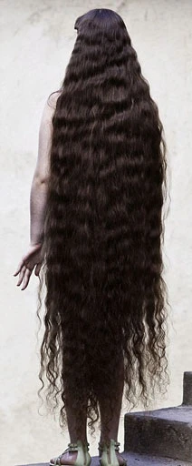 Thiếu nữ bán tóc tậu nhà ảnh 1