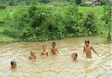 Tản mạn sông quê ảnh 5