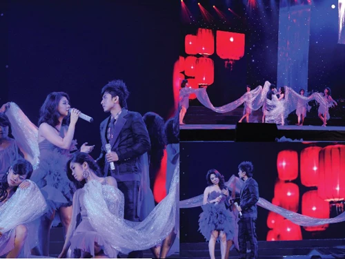 Ca sĩ Thanh Thảo lỗ tiền tỉ với live show "Chuyện" ảnh 2