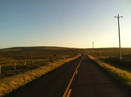 Những bức ảnh chụp bằng iPhone 4 ảnh 6 Những bức ảnh chụp bằng iPhone 4 ảnh 6