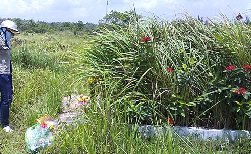 Từ biệt giam đến pháp trường - bài 1: Giờ hành hình đã điểm ảnh 3 Từ biệt giam đến pháp trường - bài 1: Giờ hành hình đã điểm ảnh 3