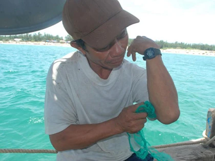 Ngứa phát điên vì bướm “lạ” ảnh 2