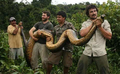 Xem các nhà nghiên cứu "vật nhau" với trăn khổng lồ ảnh 3