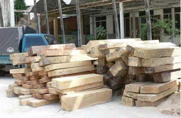 Bắt giữ số lượng lớn gỗ lậu, quý ảnh 1