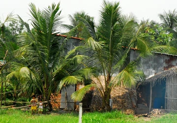 Mua đất giấy tay cũng được cấp giấy đỏ ảnh 1