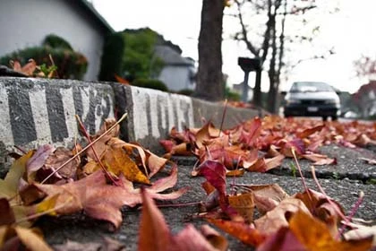 Những bức ảnh chụp góc thấp ấn tượng ảnh 2