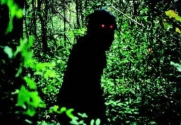 Liên hoan phim Cannes lần thứ 63: Châu Á lên ngôi ảnh 2