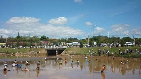 Chùm ảnh: Dân đổ xô ra hồ Xuân Hương bắt cá ảnh 6