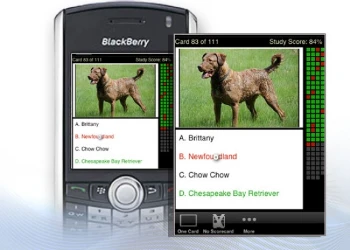 gFlashPro Flashcards