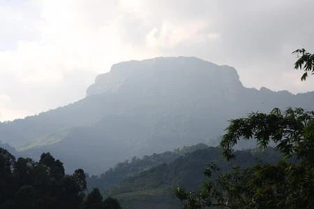 Kỳ 2: Cả bản tức điên vì bầy trăn mò về bản trộm vật nuôi ảnh 4