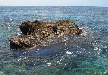 Philippines kiện TQ ra tòa án quốc tế: Philippines kêu gọi các nước ủng hộ ảnh 1