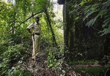 Nhà báo nữ bị hiếp dâm ở Ấn Độ ảnh 1