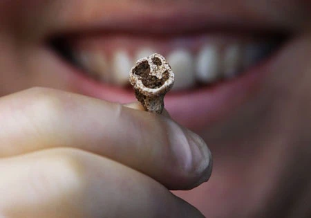 Phát hiện mộ thuyền của cướp biển Viking huyền thoại ảnh 6