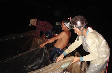 Tôi đi đánh lưới bao ảnh 1