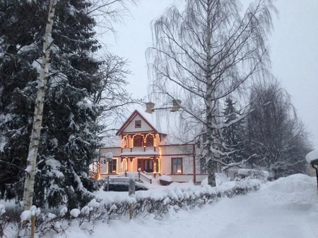 Vẻ đẹp quyến rũ của làng quê Thụy Điển mùa Giáng sinh ảnh 14