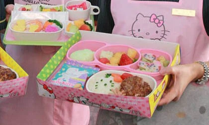 Khám phá máy bay Hello Kitty ảnh 8