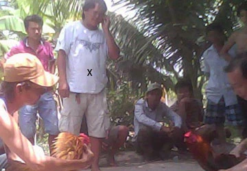 Hàng loạt “chợ đánh bạc” ở Tiền Giang - Bài 3: Trường gà, sòng tài xỉu… “liên xã” ảnh 4