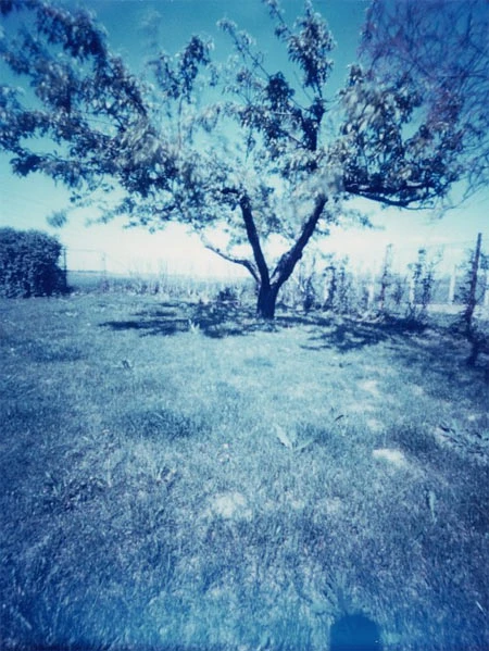 Bức ảnh khó tin với thời gian phơi sáng... 6 tháng ảnh 2 Bức ảnh khó tin với thời gian phơi sáng... 6 tháng ảnh 2