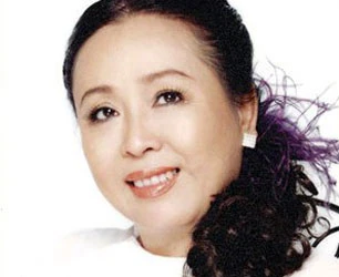 Đêm hội ngộ những nghệ sĩ thời ‘tiếng hát át tiếng bom’ ảnh 1