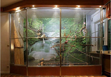 Vườn chim trong nhà phố ảnh 2