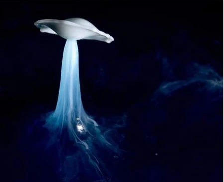 Những hình ảnh quay chậm đẹp và hài hước ảnh 16 Những hình ảnh quay chậm đẹp và hài hước ảnh 16