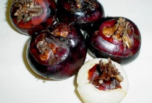 Củ mã thầy giúp giảm béo, hạ huyết áp ảnh 1