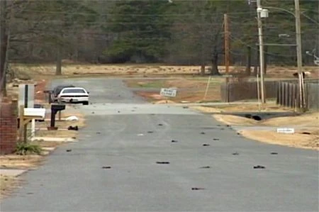 “Mưa chim chết” bí ẩn ở Mỹ ảnh 1