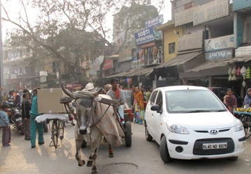 Khám phá giao thông Ấn Độ - Bài 2: Phương tiện vận chuyển nhân dân ảnh 1