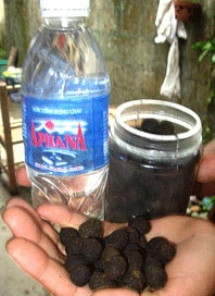 Đang bán bánh mì bỗng hoá “thần y” ảnh 2