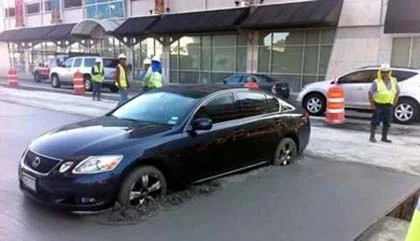 Những câu chuyện "độc" nhất năm 2011 ảnh 8