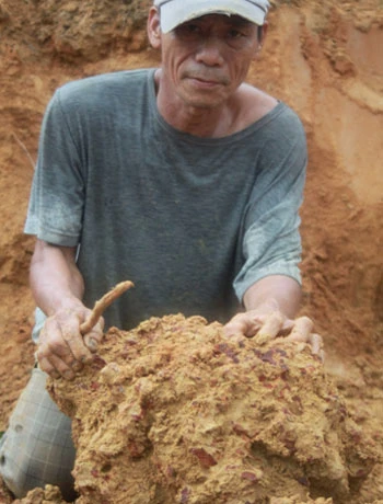 Đổ xô đào đá cảnh ở nghĩa địa ảnh 5