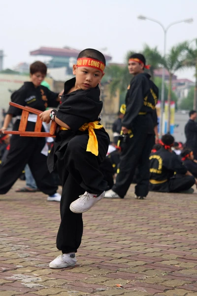 Lễ tổng kết biểu diễn võ thuật cổ truyền chào mừng 1.000 năm Thăng Long - Hà Nội ảnh 5