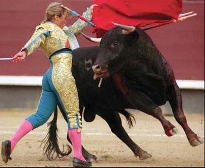 Khi phụ nữ làm đấu sĩ bò tót ảnh 2