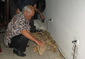 Triệt phá đường dây lớn mua bán xương hổ ảnh 1