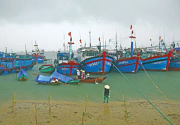 Kỳ cuối: Nơi sông Mã gặp biển ảnh 1