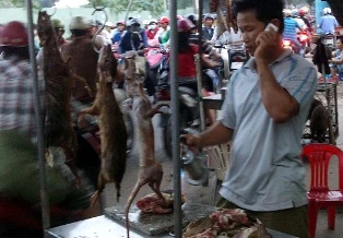 Tận diệt thú rừng ảnh 1