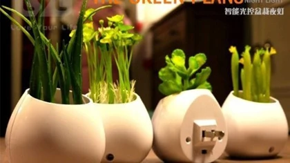 Quà 8/3 online: Độc, rẻ, thiết thực lên ngôi ảnh 5 Quà 8/3 online: Độc, rẻ, thiết thực lên ngôi ảnh 5