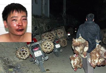 Nhà báo tác nghiệp là thi hành công vụ? ảnh 1