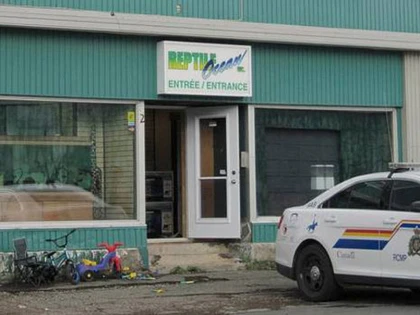 Trăn sổng chuồng, siết chết 2 bé trai ảnh 1